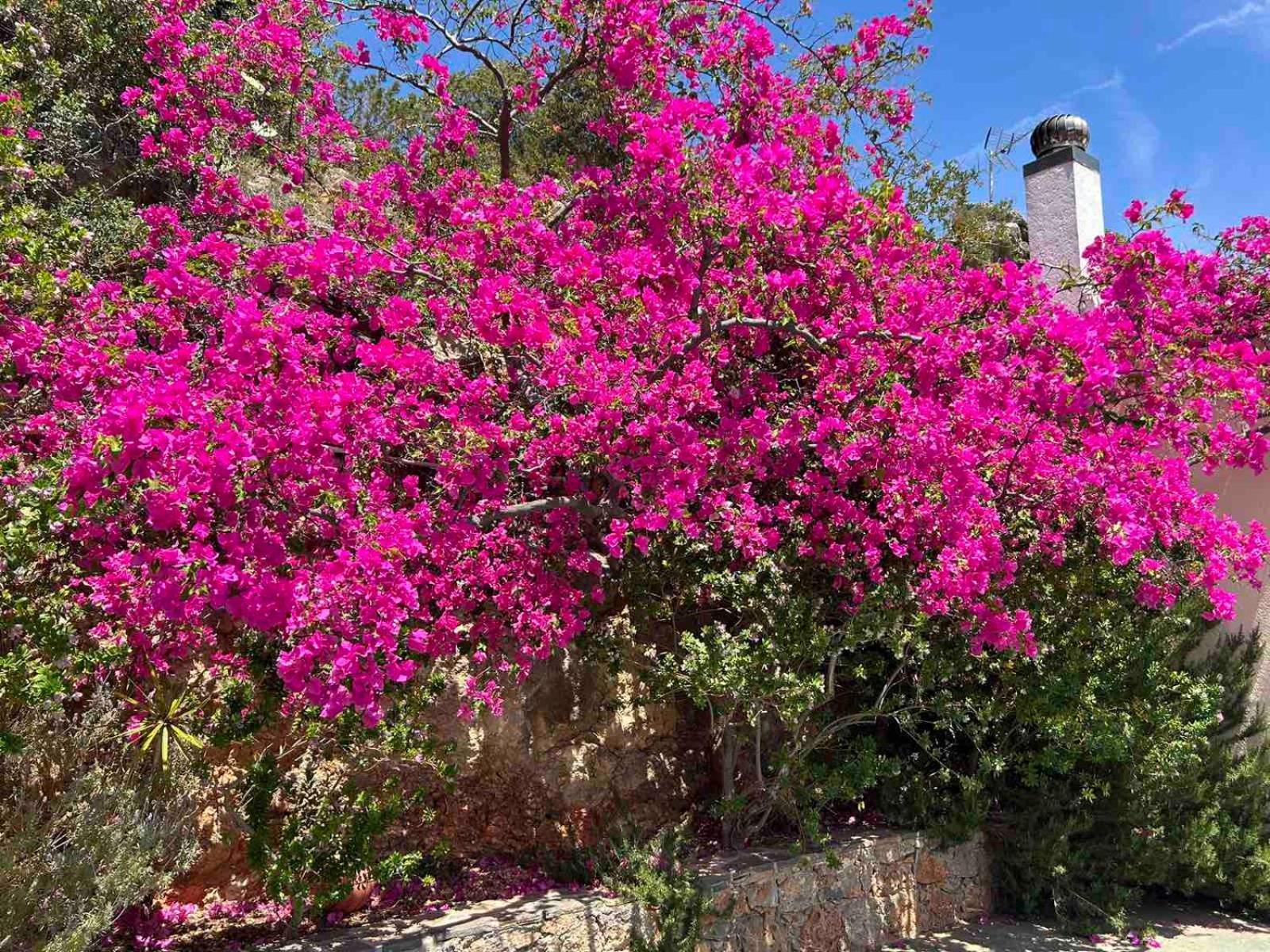 Fissi Villas Agritourism Accommodation Near The Sea Agios Nikolaos Exterior foto